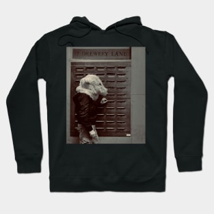 Polar bear in Drewery Lane Hoodie